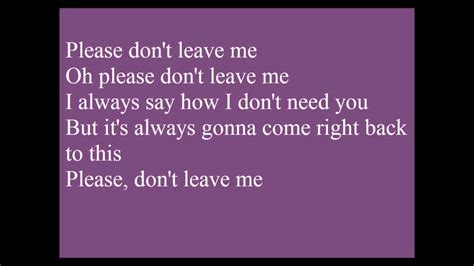 don't leave me pink lyrics